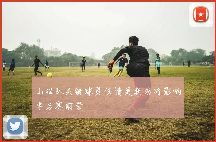 山猫队关键球员伤情更新或将影响季后赛前景